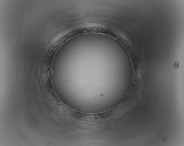 X0000110990869200906191425