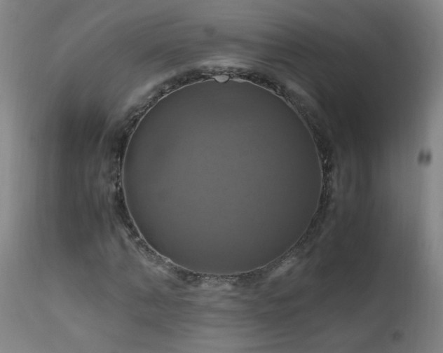 X0000110990870200906191425