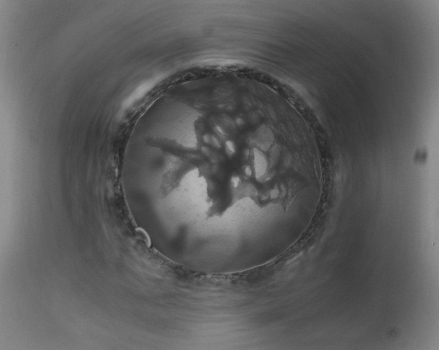 X0000110990871200906191425