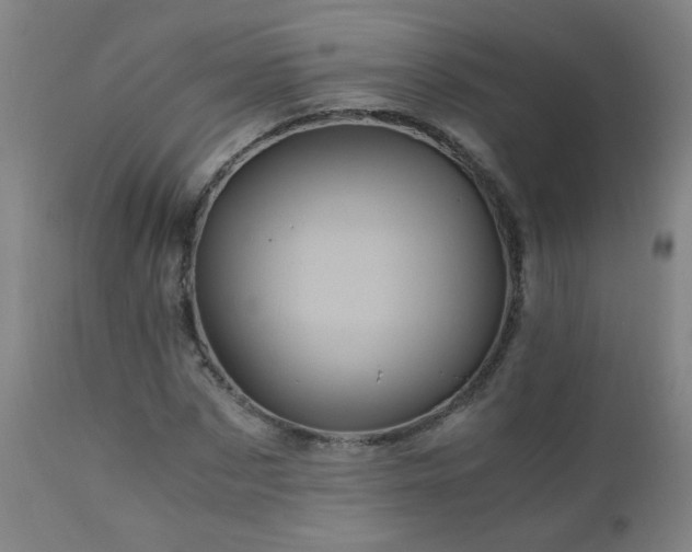 X0000110990873200906191425