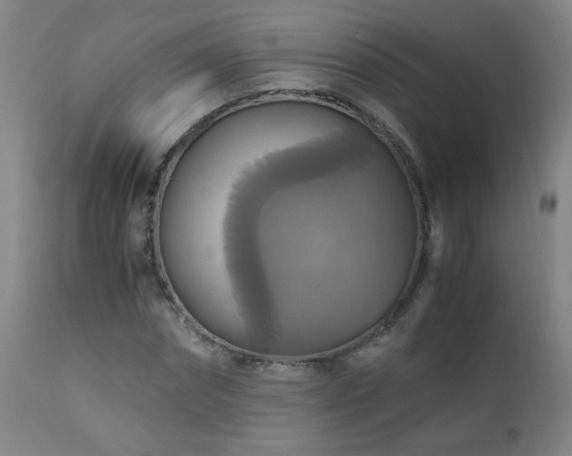 X0000110990874200906191425