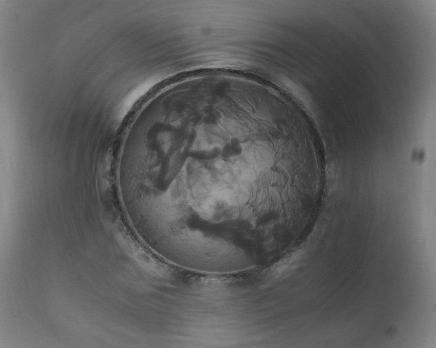 X0000110990875200906191425