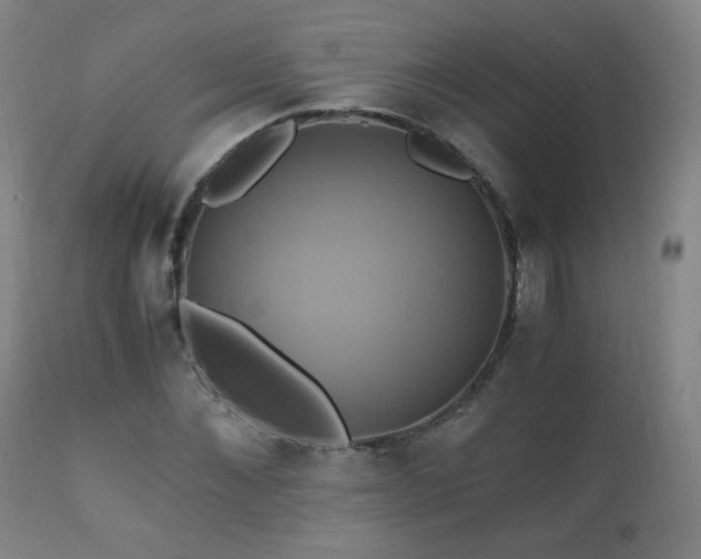 X0000110990876200906191425