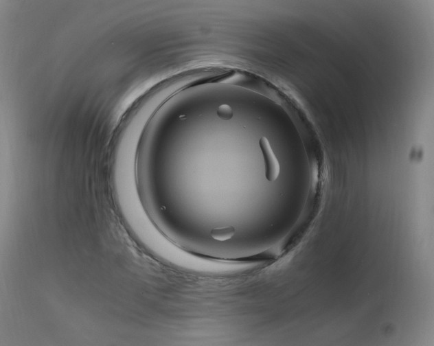 X0000110990877200906191425
