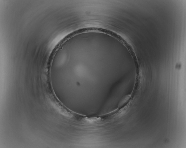 X0000110990879200906191425