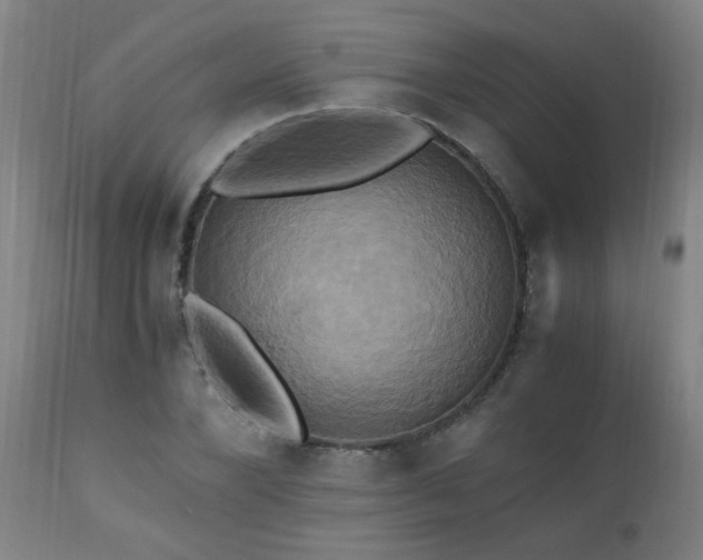 X0000110990880200906191425