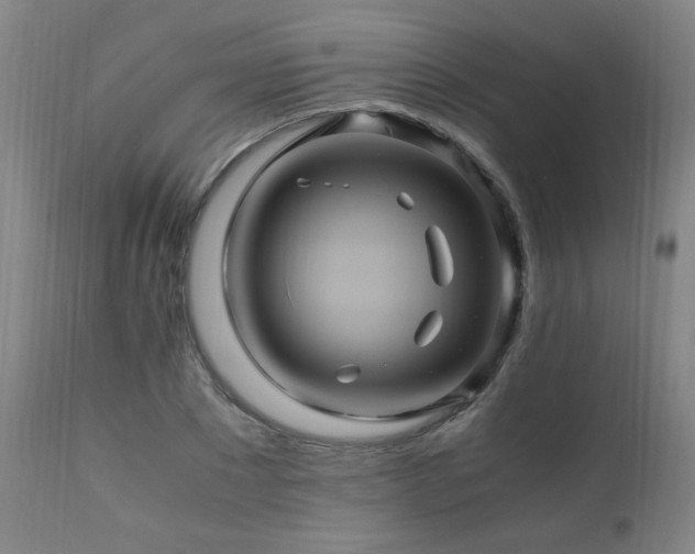 X0000110990881200906191425