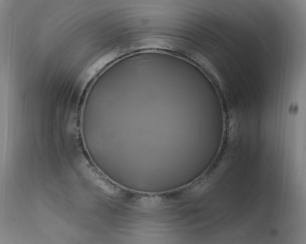 X0000110990882200906191425