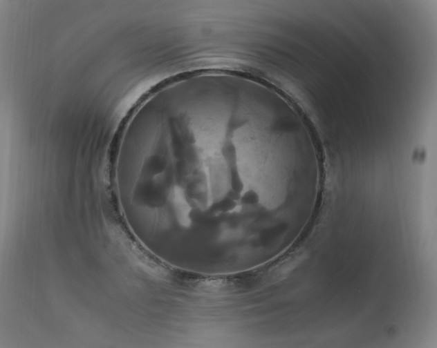 X0000110990883200906191425