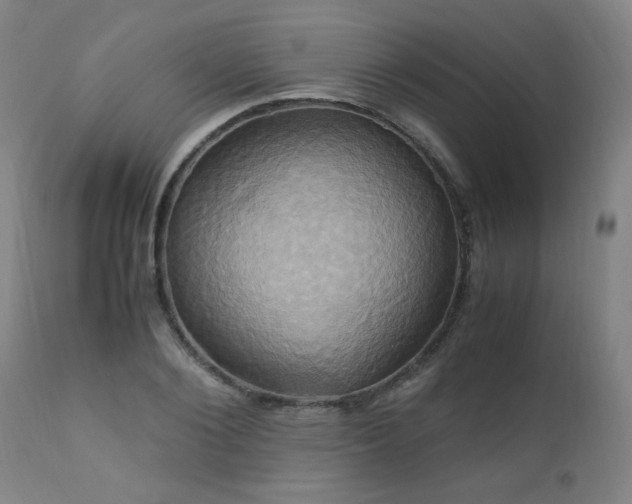 X0000110990884200906191425
