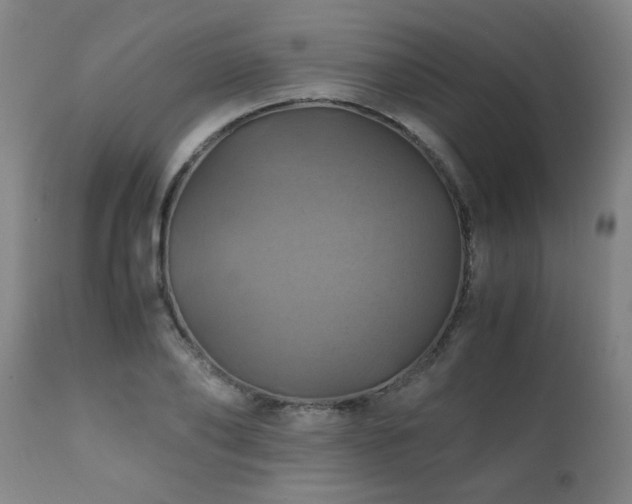 X0000110990886200906191425