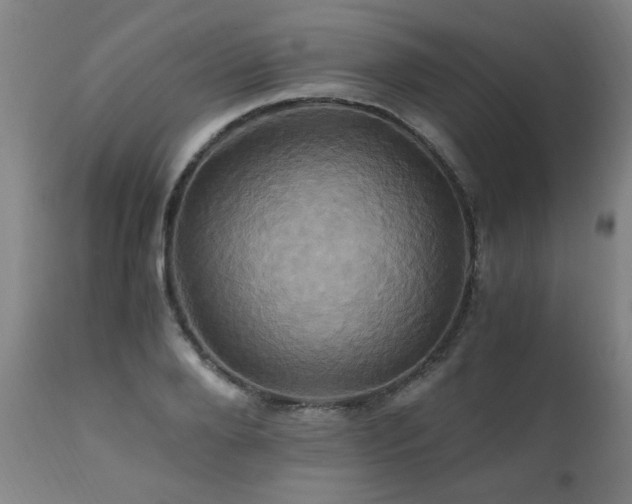 X0000110990888200906191425