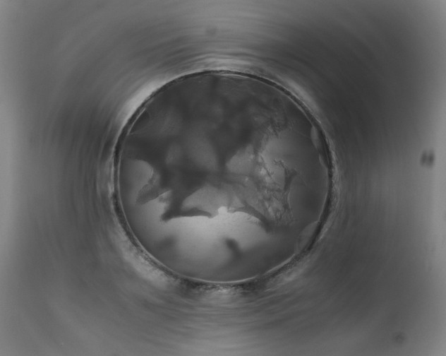 X0000110990891200906191424