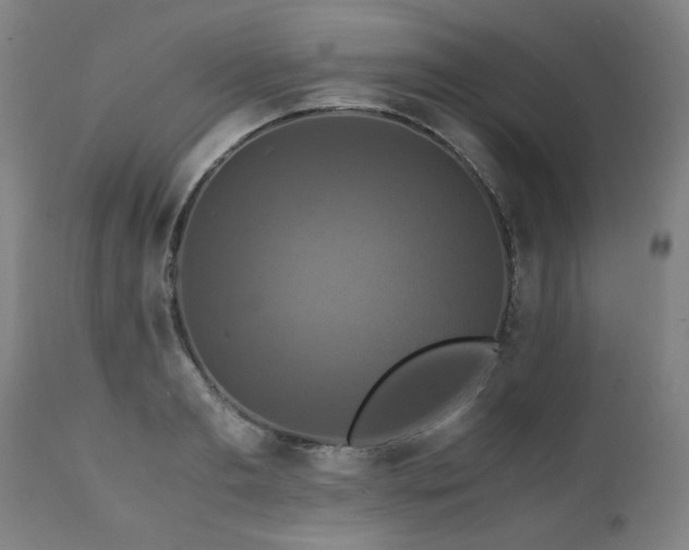 X0000110990893200906191424