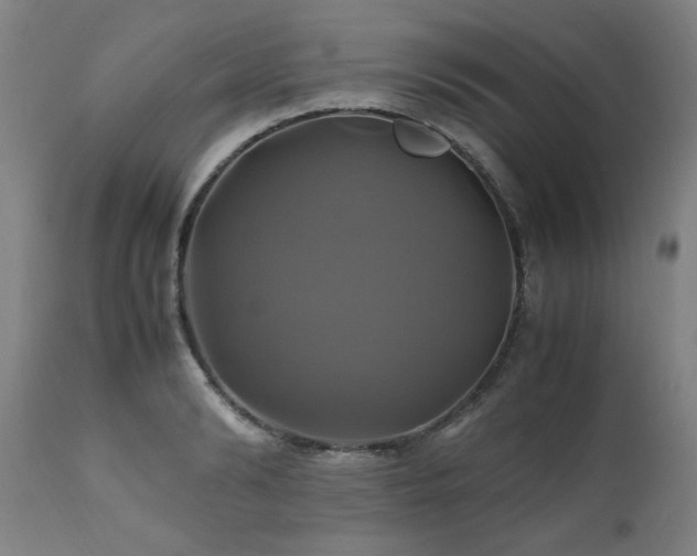 X0000110990894200906191424
