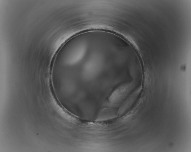 X0000110990895200906191424