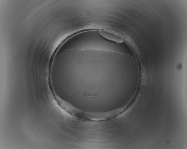 X0000110990896200906191424