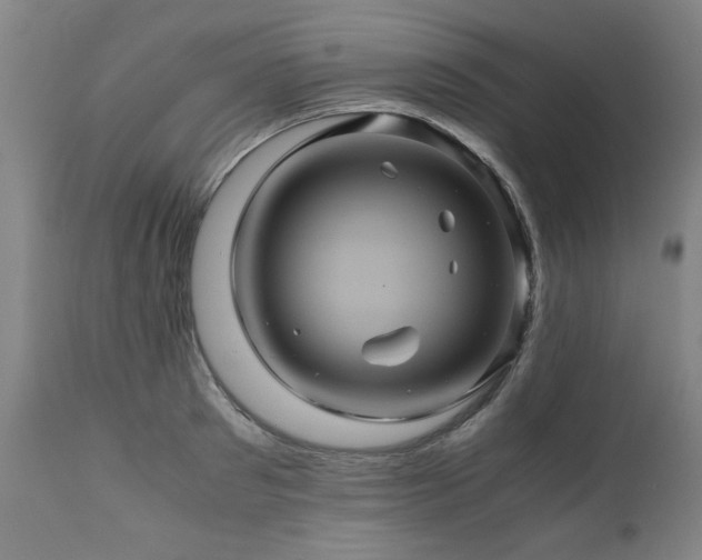 X0000110990897200906191424