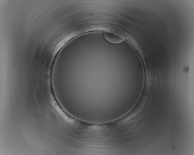X0000110990898200906191424