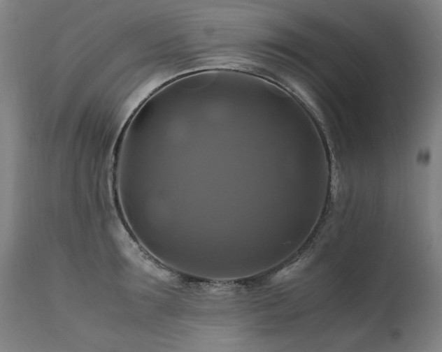 X0000110990899200906191424