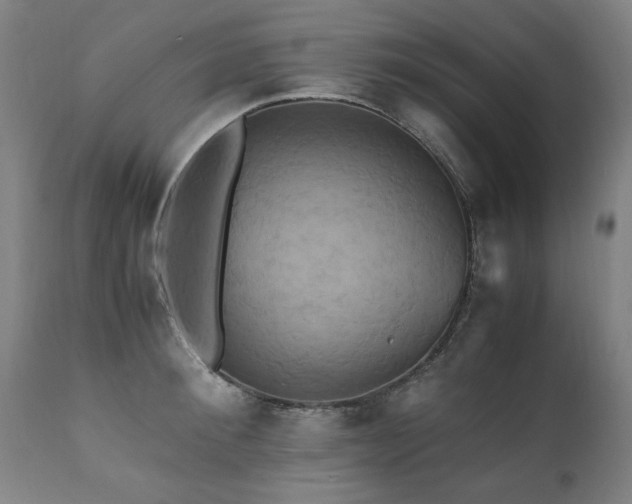 X0000110990900200906191424
