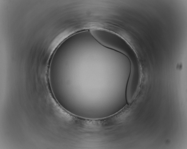 X0000110990901200906191424