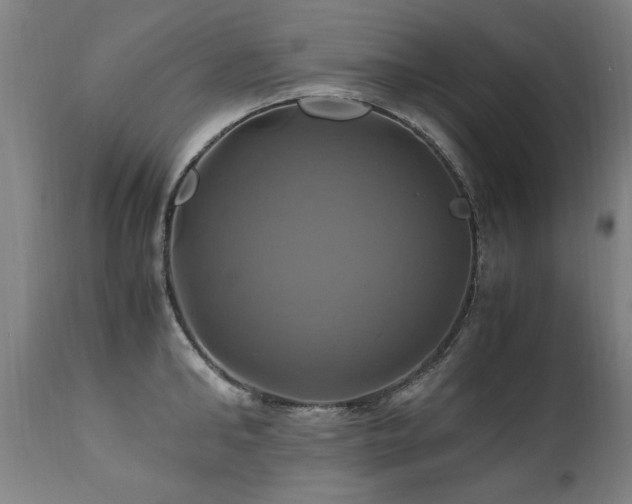 X0000110990902200906191424
