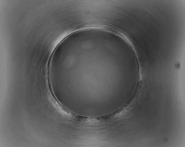 X0000110990907200906191424