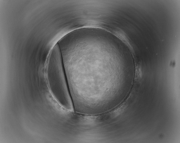 X0000110990908200906191424