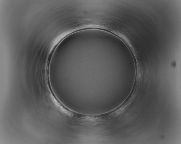 X0000110990910200906191424