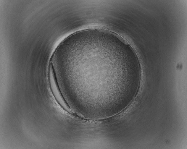 X0000110990912200906191424