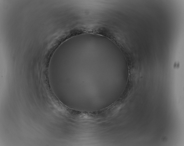 X0000110990913200906191423