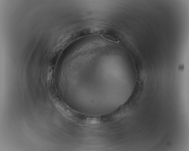 X0000110990914200906191423