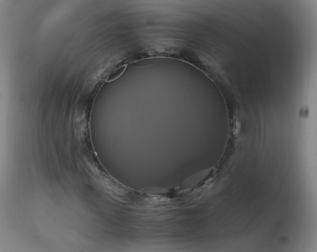 X0000110990915200906191423
