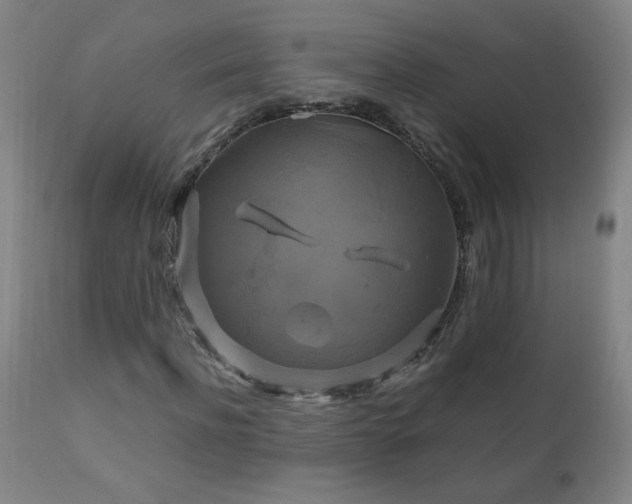 X0000110990916200906191423
