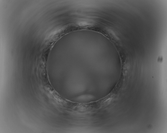 X0000110990917200906191423