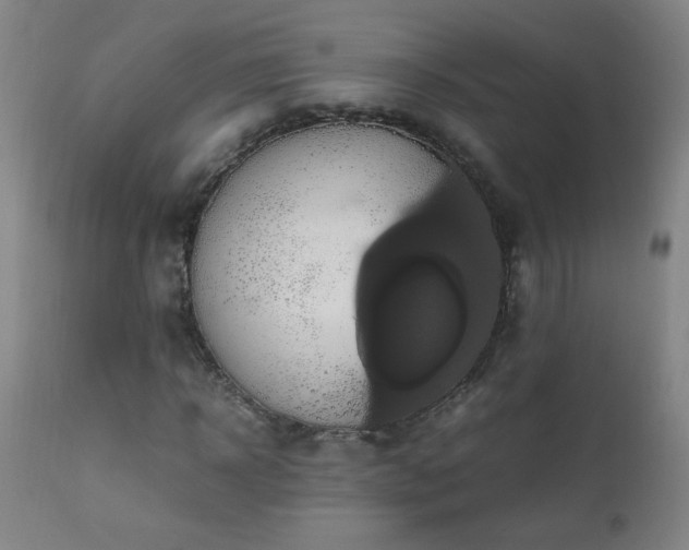 X0000110990918200906191423