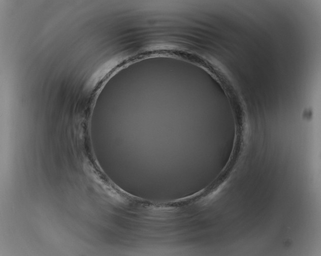X0000110990921200906191423
