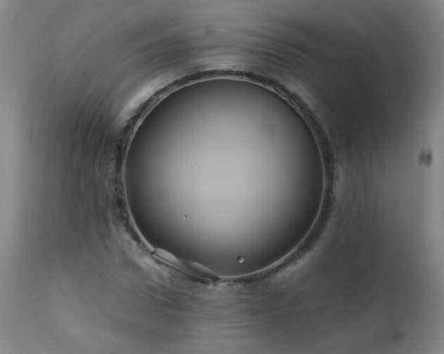 X0000110990922200906191424