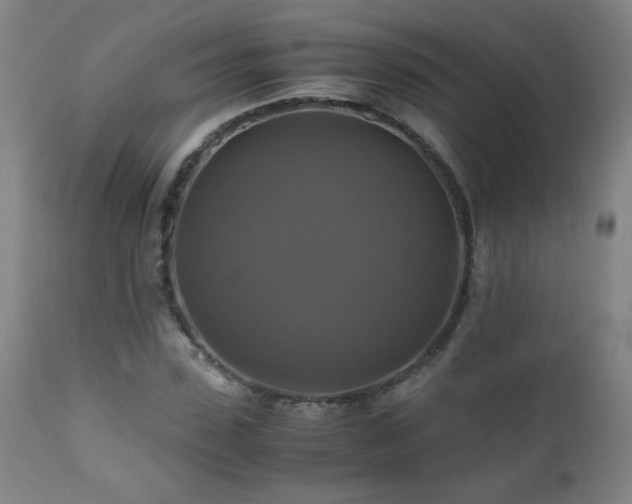 X0000110990923200906191424