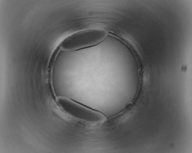 X0000110990924200906191424