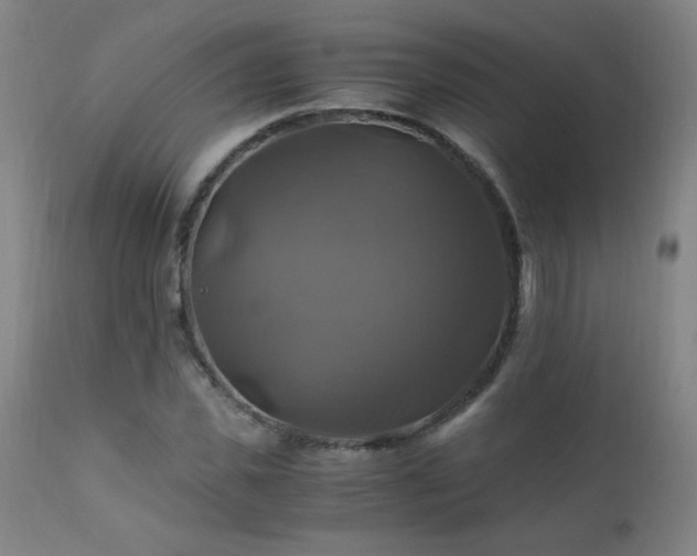 X0000110990925200906191424