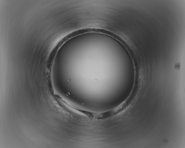 X0000110990926200906191424