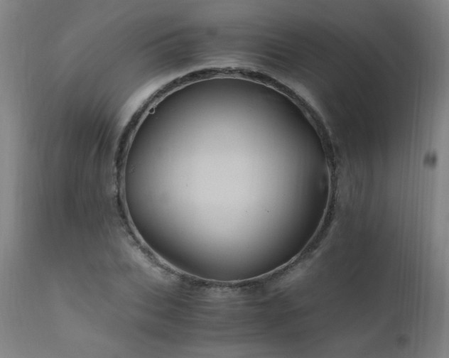 X0000110990927200906191424