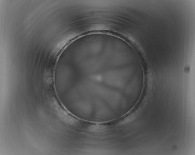 X0000110990929200906191424