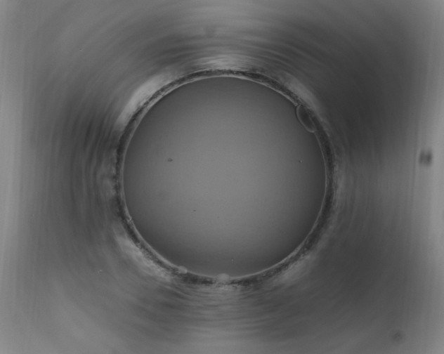 X0000110990930200906191424