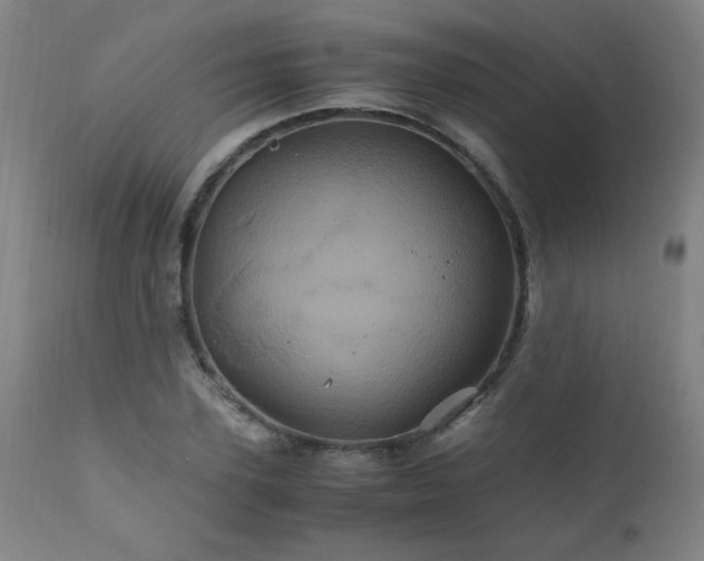X0000110990931200906191424