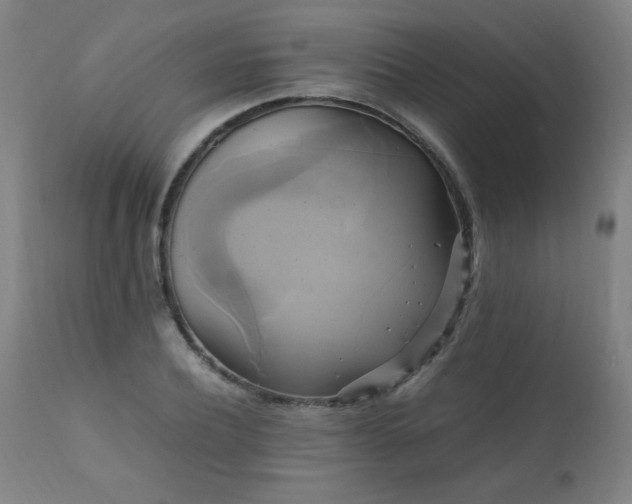 X0000110990932200906191424