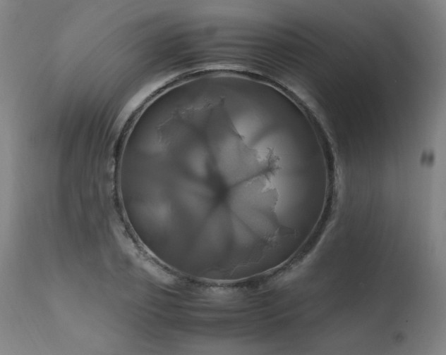 X0000110990933200906191424