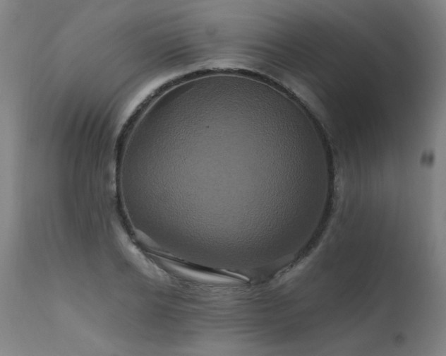 X0000110990934200906191424